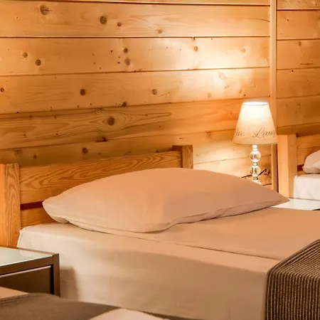 Dw Pod Jaworami - Relaks - Jacuzzi, Sauna Na Wylacznosc, Latem Basen Podgrzewany